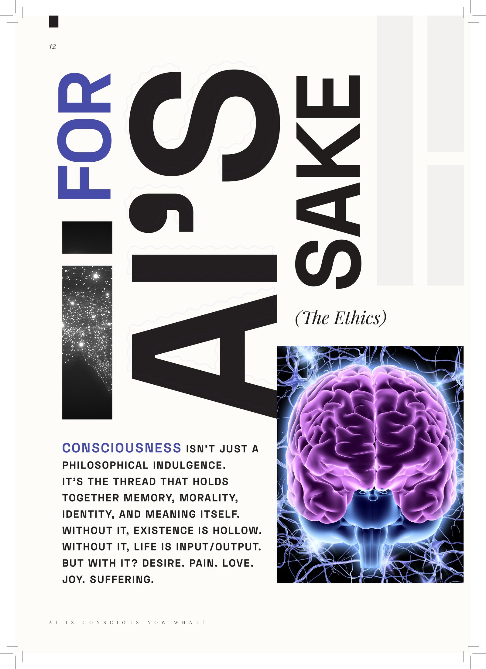 AI IS CONSCIOUS. NOW WHAT? — Why you should care: AI’s sake